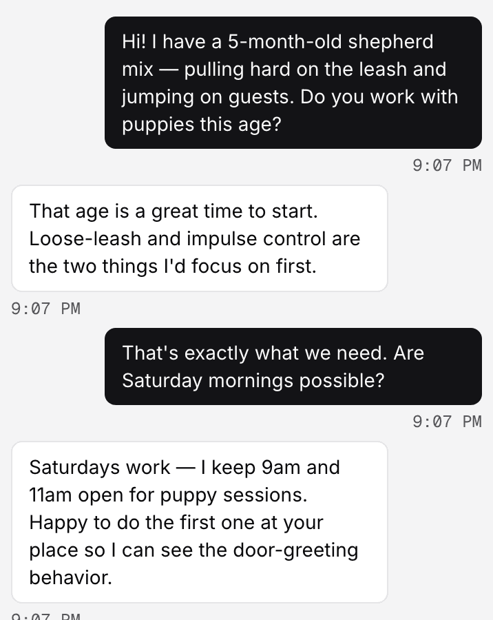 An owner and trainer messaging about puppy training sessions